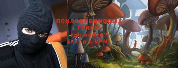 сатива Бугульма