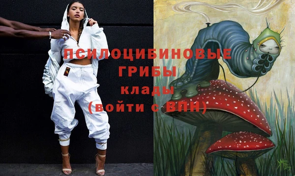 сатива Бугульма