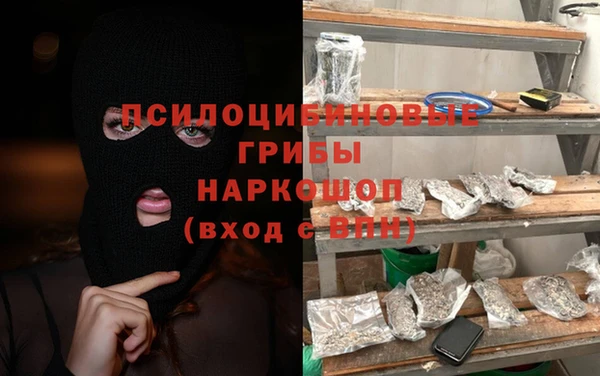 герыч Бородино