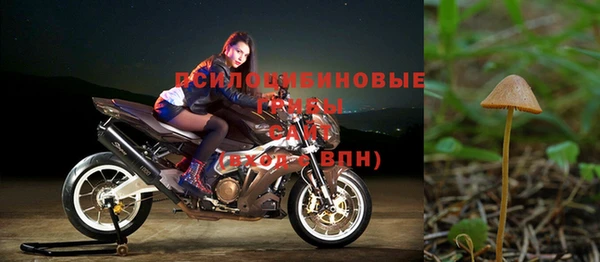 герыч Бородино