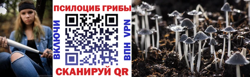 Галлюциногенные грибы Magic Shrooms  цена   Артём 